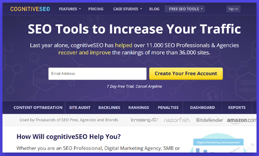 CognitiveSEO - backlink software