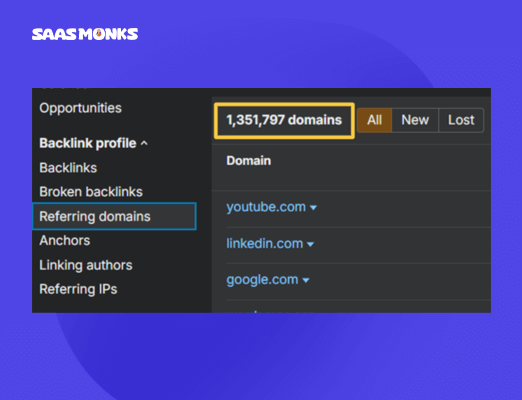 Check total referring domains in Ahrefs
