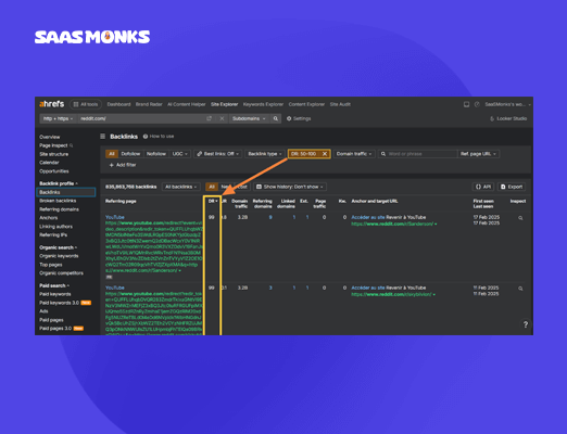 How to check domains by DR in Ahrefs